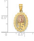 "15" Our Lady of Guadeloupe Two-Tone Charm Pendant in 14k Yellow & Rose Gold