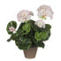 Фото #1 товара Декоративное растение Mica Decorations PVC Герань (11,5 x 33 cm)