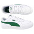 Puma Caven