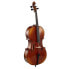 Фото #3 товара Gewa Allegro VC1 Cello 4/4