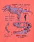 Kid Dinosaur Graphic Tee M