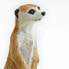 Фото #4 товара Фигурка Safari Ltd Meerkat Figure (Фигурка Сафари Лтд Меркат Фигурка)