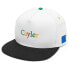 CAYLER & SONS Search N Destroy Cap