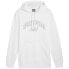 Фото #1 товара Puma Ess+ Logo LAB Gradient Hoodie FL M 681775 02