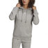 Фото #1 товара ADIDAS ORIGINALS Adicolor hoodie