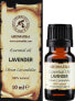 Ätherisches Öl Lavendel - Aromatika 10 ml