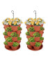 Фото #1 товара 2-Pack of 5-Tier Stackable Planter Vertical, Planters 15'' x 22.8''