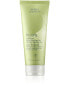 Aveda Be Curly Conditioner