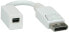 Фото #2 товара ROLINE 12033132 - 0.15 m - DisplayPort - Mini DisplayPort - Male - Female - White
