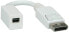 ROLINE 12033132 - 0.15 m - DisplayPort - Mini DisplayPort - Male - Female - White