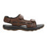 Sperry Rivington River Mens Brown Casual Sandals STS25115