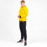 Фото #3 товара [755788-01] Mens Puma BVB FtblCulture Hoody