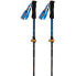 VIKING Kettera Pro poles