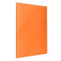 Фото #3 товара LIDERPAPEL Showcase folder 20 polypropylene covers DIN A4 opaque fluor