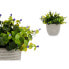 Decorative Plant Flowers Plastic 21 x 20,6 x 21 cm (8 Units)