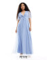 Фото #1 товара Anaya Petite twist tulle maxi dress in soft blue