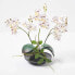 Фото #7 товара Искусственные цветы Homescapes Phalaenopsis-Orchidee 38 см белые