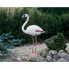 Фото #2 товара Декоративная фигурка для сада Ubbink Смола Розовый фламинго