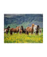 Фото #1 товара Картина на холсте Trademark Global Исландские лошади VII - 37" x 49"