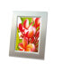 Avery Zweckform Avery Premium Inkjet Fotopapier - Inkjet printing - A4 (210x297 mm) - High-gloss - 20 sheets - 250 g/m² - White