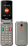 Telefon stacjonarny Gigaset Gigaset GL590 Titan silber mit Ladeschale