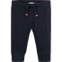 Фото #1 товара TOMMY HILFIGER KN0KN01841 sweat pants