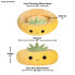 ფოტო #6 პროდუქტის SQUISHMALLOWS Maui The Pineapple bed