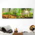 Wandbild Sonniger Wald