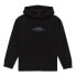 Фото #2 товара ELEMENT Skateboard Co hoodie