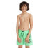 Фото #2 товара O´NEILL O´Riginals Cali 14´´ Swimming Shorts