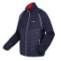 Фото #6 товара REGATTA Steren Hybrid softshell jacket