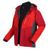 Фото #15 товара REGATTA Sacramento VIII detachable jacket