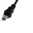 STARTECH USB 2.0 To Mini USB Adapter cable 30 cm