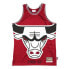 Фото #1 товара Майка Mitchell & Ness Chicago Bulls Swingman