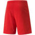 Puma teamRISE Short M 704942 01