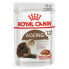 ROYAL CANIN Ageing 85g Wet Cat Food 12 Units