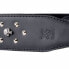 Minotaur R2 Rivet & Skull Strap