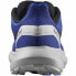 Фото #6 товара Мужские спортивные кроссовки Salomon Dazzling Hypulse Синий