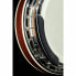 Фото #14 товара Gold Tone IT-250-F Irish Tenor Banjo w/C