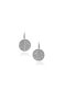 Фото #1 товара Silver-Tone Glass Stone Coin Leverback Earrings