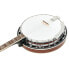 Фото #4 товара Gold Tone TS-250 Tenor Banjo w/Case