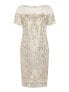 Adrianna Papell 291058 Women's Sequin Embroidery Sheath Dress, Alabaster, Size 6