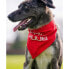 Фото #5 товара HUUB Pet Bandana Scarf