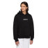 Фото #2 товара DICKIES Enterprise hoodie