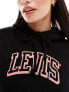 Фото #5 товара Levi's hoodie with small sport logo in black