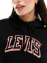 Levi's hoodie with small sport logo in black