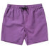 MYSTIC Brand Swimming Shorts