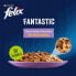 Фото #3 товара PURINA Felix Fantastic Favorites Selections 85g Cat Snack 12 Units