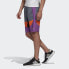 Шорты Adidas originals Outdoor Short FM3703