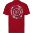 Фото #2 товара TOMMY JEANS Circular Graphic short sleeve T-shirt